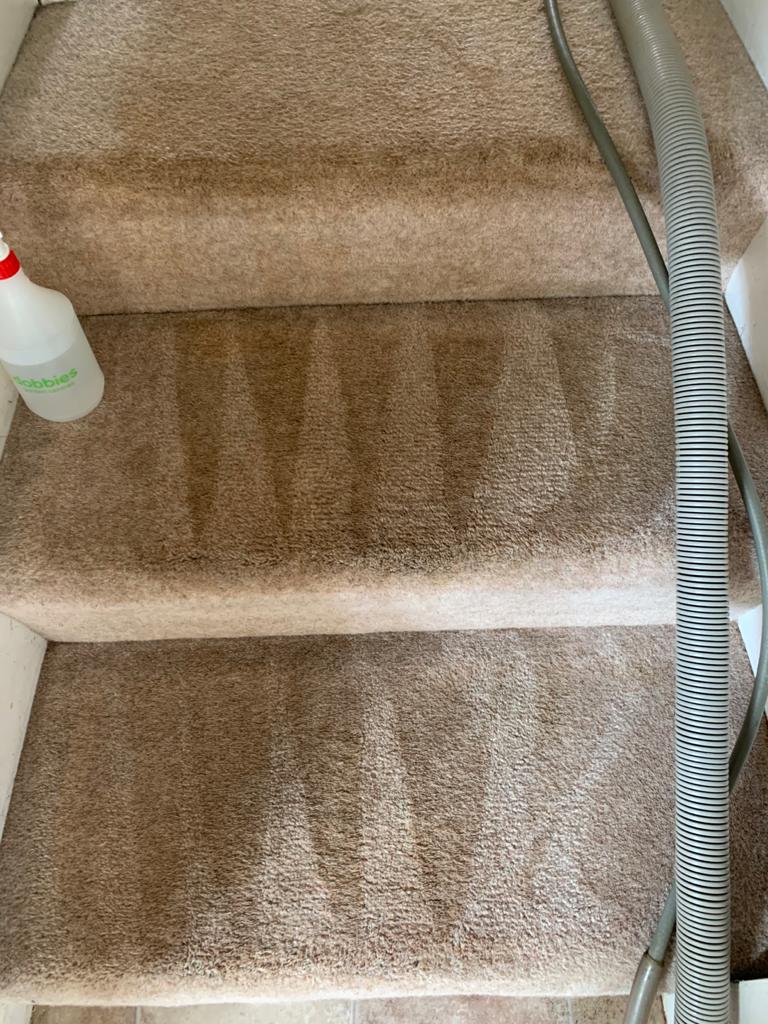 This is a photo of Ashford Carpet Cleaning Carrying out a carpet clean on a staircase at a house in Ashford