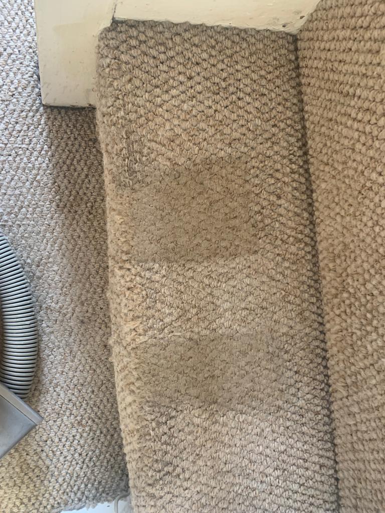Folkestone carpet clean stairs 3
